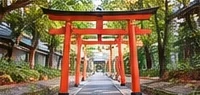 Red torii gates at a Japanese shrine